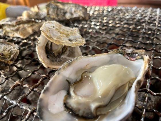 【バスハイク／福岡発(博多・天神)／糸島牡蠣小屋】 福岡冬のイチオシ!! 炭火焼きが旨い牡蠣小屋!! 糸島かき小屋満喫と伊都きんぐと今しか見れない社殿太宰府天満宮 ■牡蠣大盛ど～んと１,２キロ＋サザエ1個・ホタテ2枚・牡蠣飯・牡蠣汁 ■生ビール缶　■梅ケ枝餅　■伊都きんぐちょっぴりプレゼント_ツアー画像1