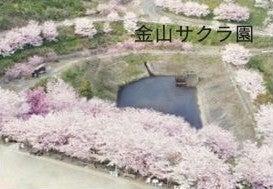 【福岡県飯塚市】いちご狩り・桜観賞・中華ランチ・こがえるでら正法寺（ご説法）を巡る旅_ツアー画像1