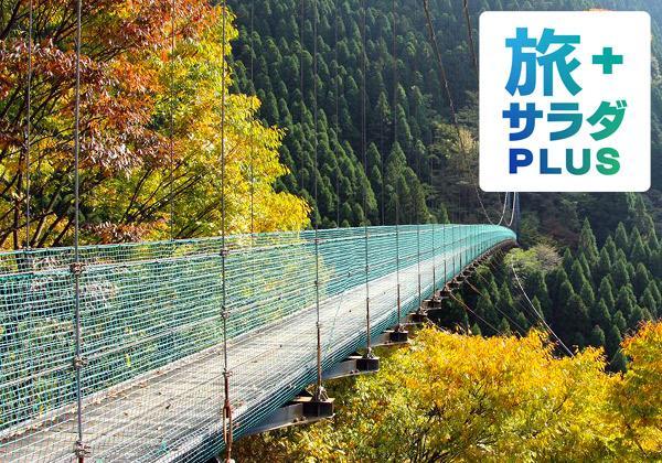 《旅サラダプラス》紅葉美しい秘境杣の大吊橋と日向ダムのハート岩_ツアー画像1
