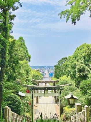 【バスハイク／添乗員同行／(福岡)天神発着】 ＜20名様限定募集＞ 鎮國寺でのお香づくり体験と 宮地嶽神社・津屋崎千軒 海の見えるカウンターで味わう本格寿司_ツアー画像1
