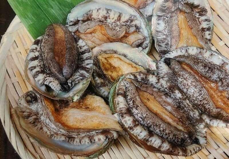 【小倉・黒崎・引野口発】踊る♪活あわびお一人様１個付き！カニ足・帆立・サザエを含む海鮮＆焼肉食べ放題と福岡よか魅力発見の旅_ツアー画像1