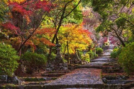 【飯塚市発着】英彦山の鮮やかな紅葉と歴史薫る飯塚の名所を巡る_ツアー画像1