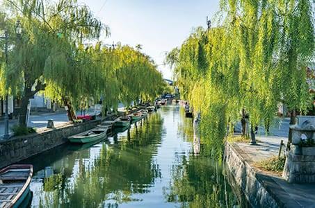 【博多/基山発着】名物うなぎのミニセイロ蒸しを食す 2つの大藤と柳川川下り日帰り いちご狩り食べ放題付き(30分)♪_ツアー画像1