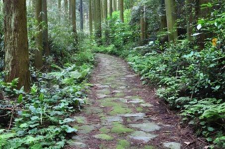 【飯塚市発着】歴史探訪Ⅲ「長崎街道」_ツアー画像1