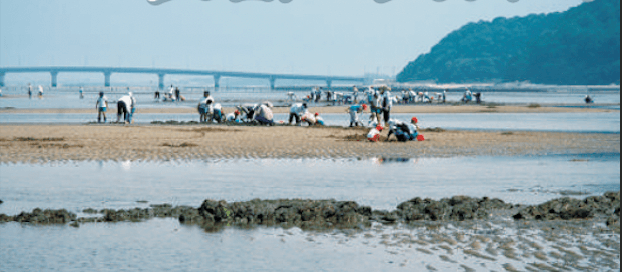 「福岡よかバスキャンペーン対象」でお得です!誰にでも出来ます!新体験「マテ貝ほり」潮干狩り/70年以上続く行橋の老舗料亭でランチ/噂の植物園「エフェクト」の本店_ツアー画像1