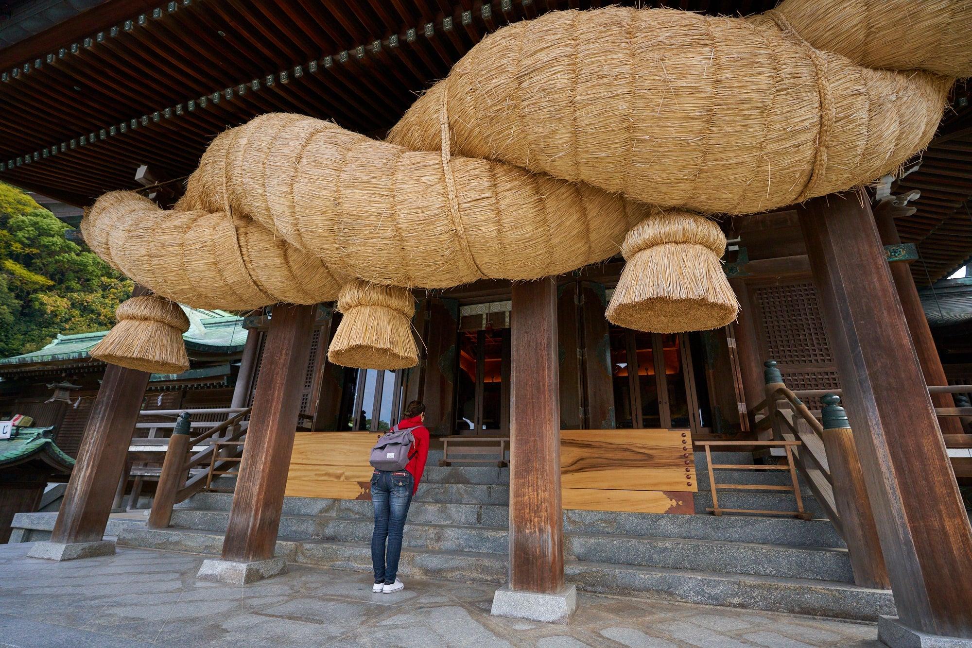 『猫の島「相島(あいのしま)」と 夏の風物詩 宮地嶽神社「風凛まつり」』【博多 出発】_ツアー画像1