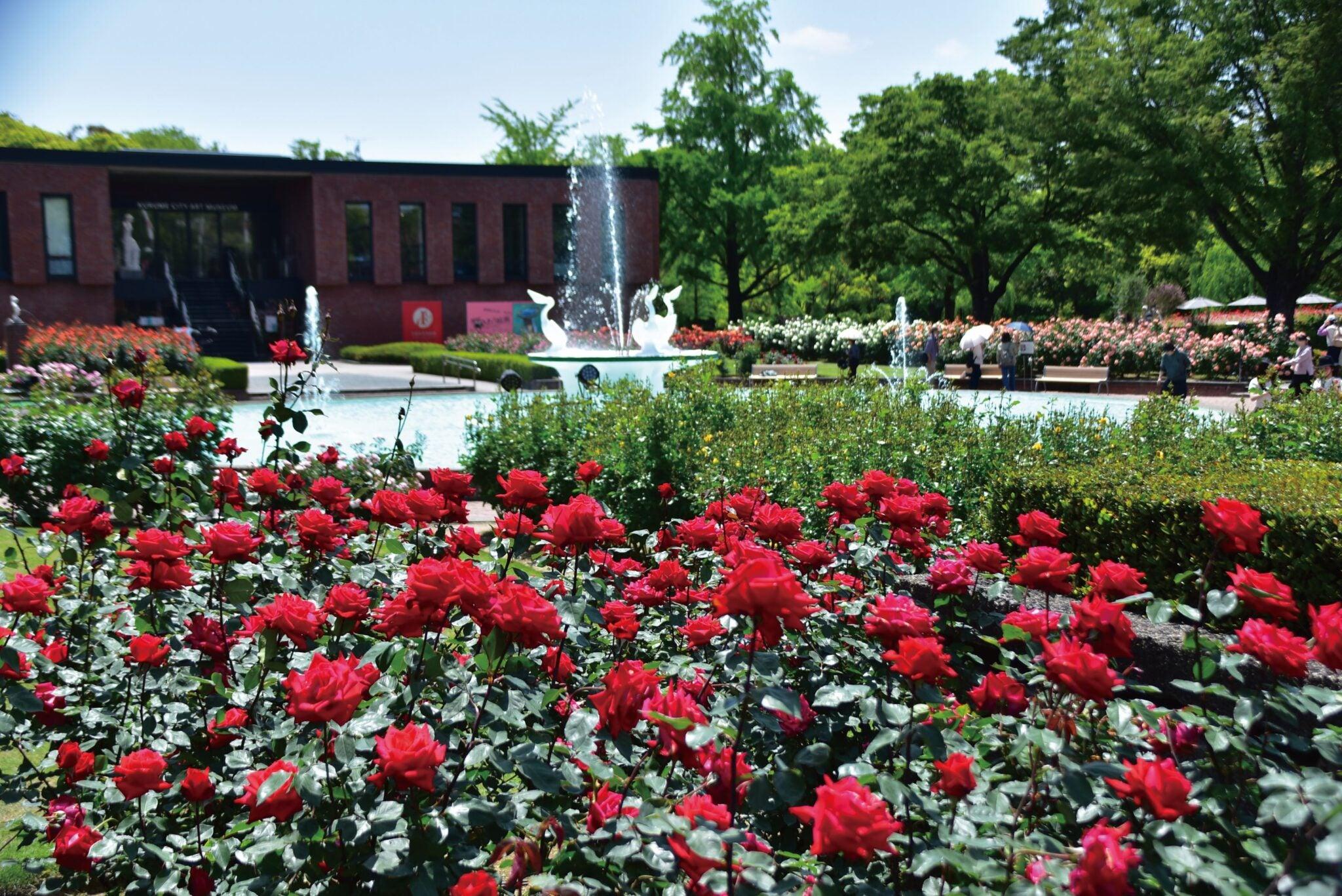 「福岡よかバスキャンペーン対象」でお得です!久留米市美術館 開館10周年企画 バラフェア現地案内のガイド付(田主丸さんぽ道・美術館・正二郎)_ツアー画像1